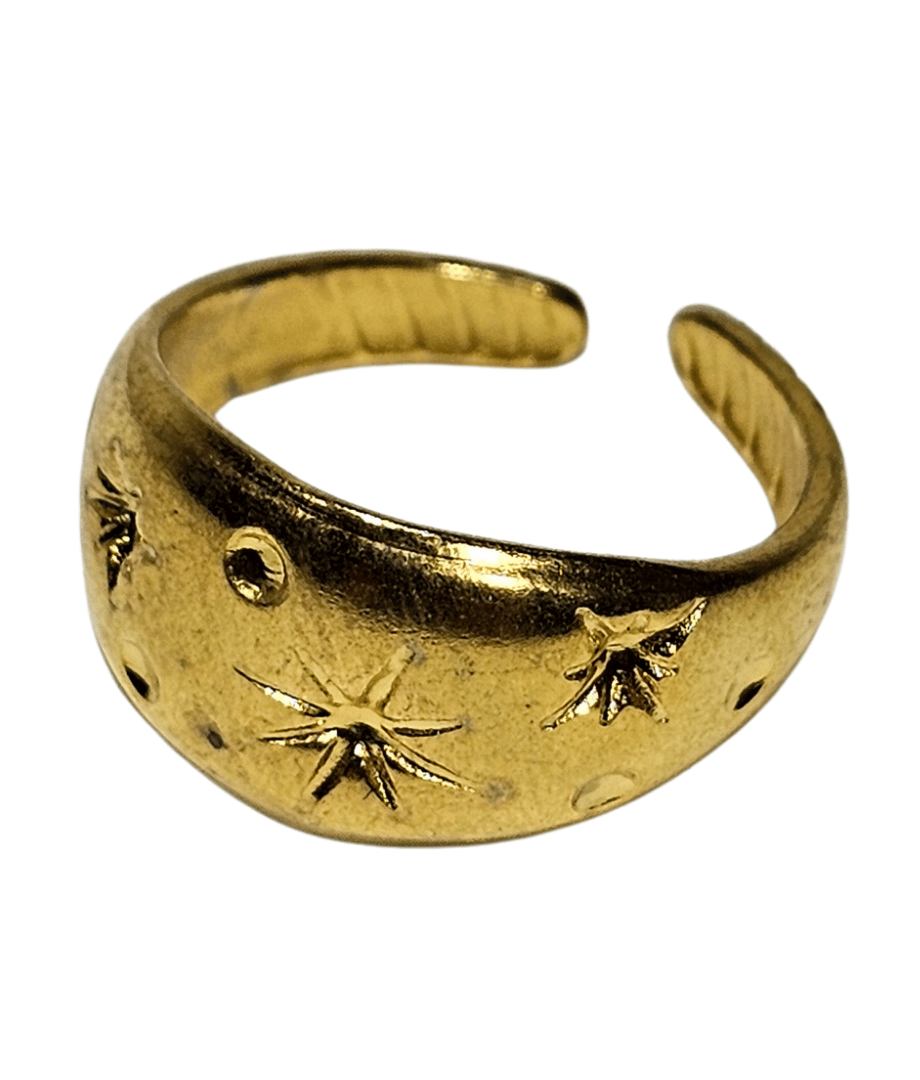 Anillo Acero Inoxidable 1500