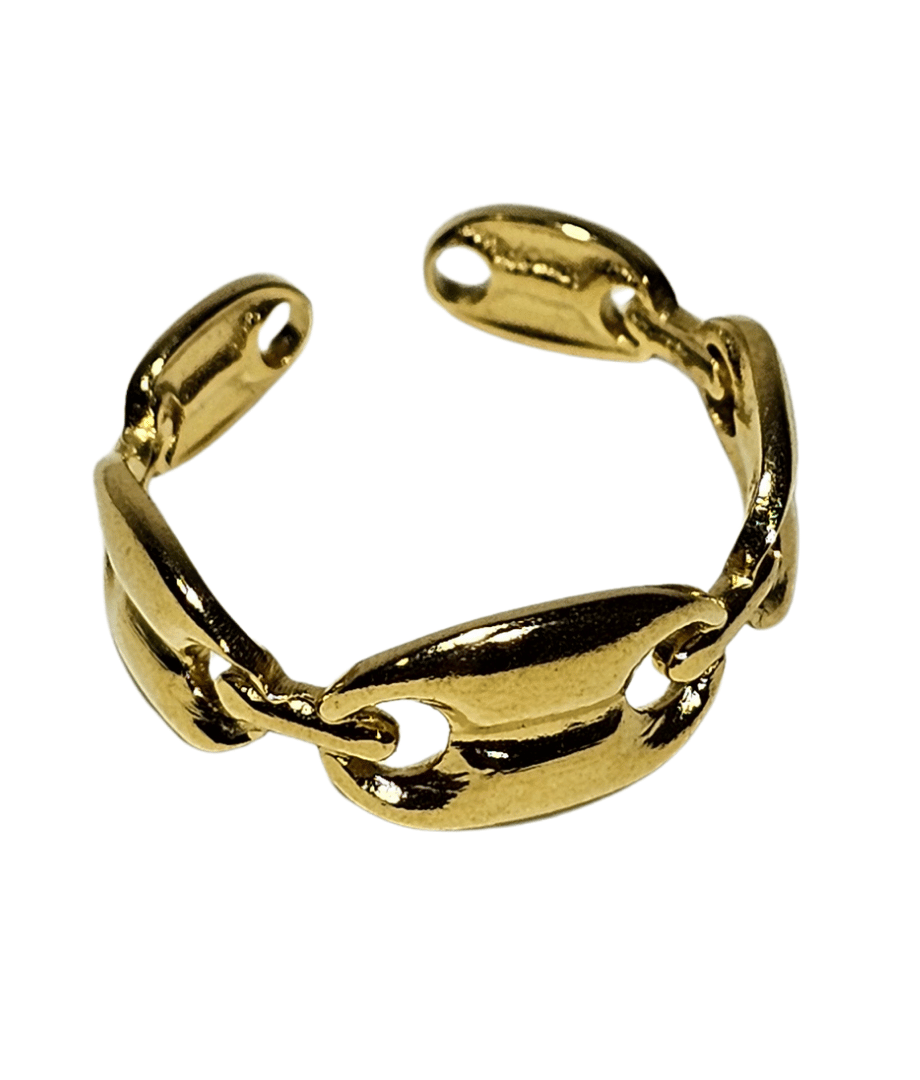 Anillo Acero Inoxidable 1500