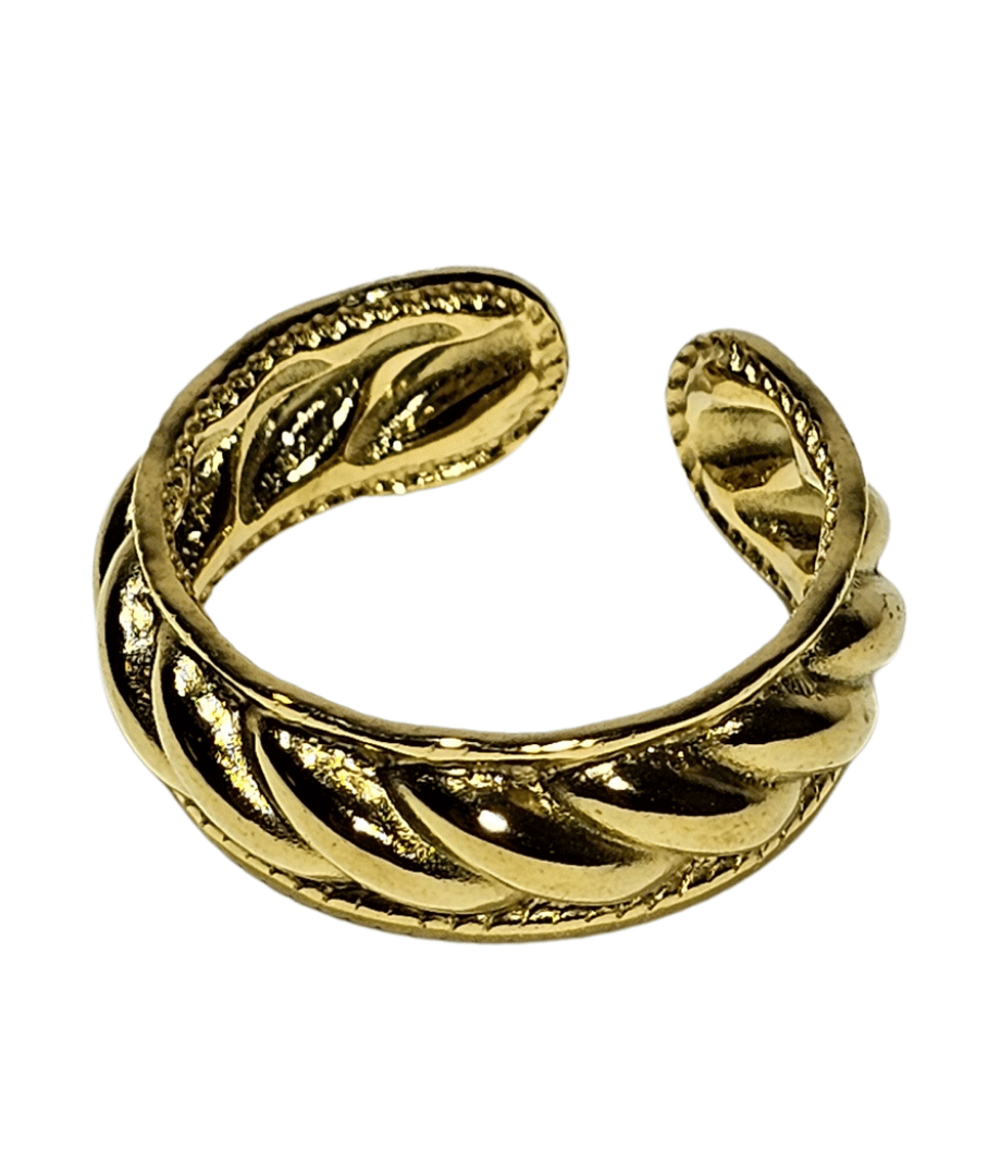 Anillo Acero Inoxidable