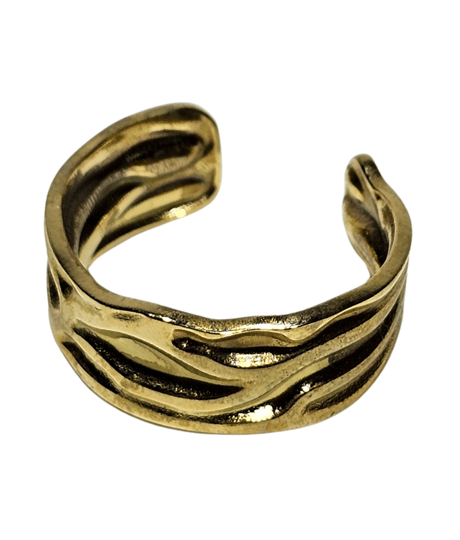 Anillo Acero Inoxidable