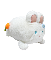 Peluche Conejo C/ Zanahoria 45Cm