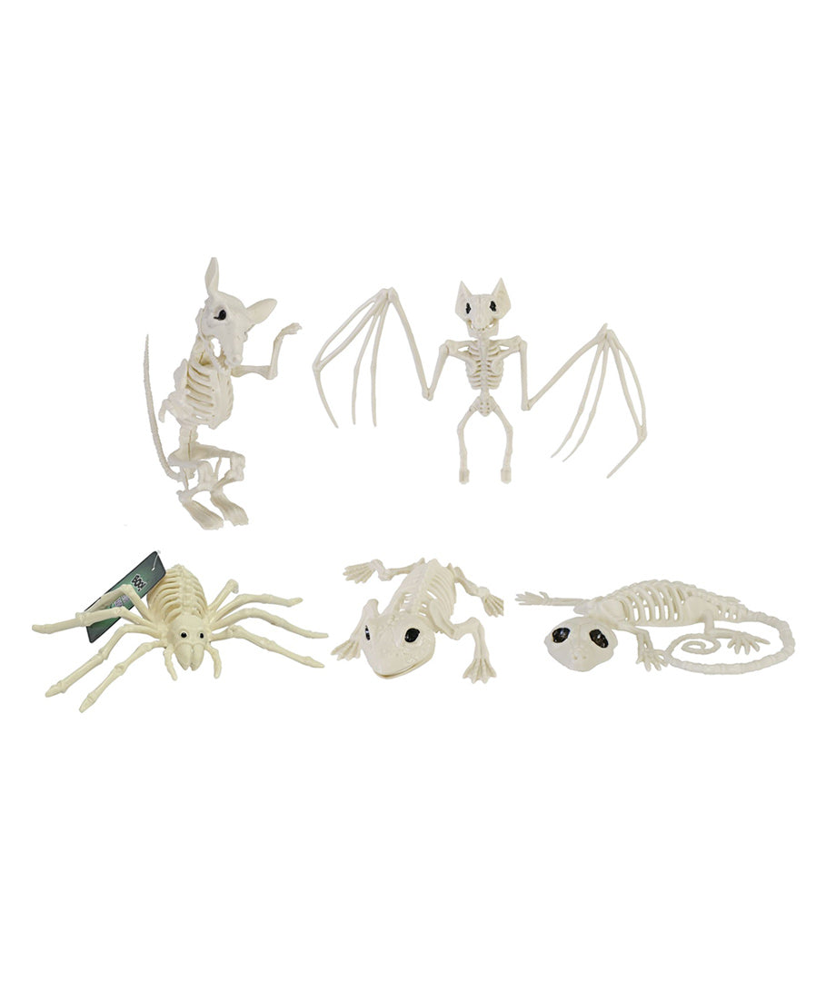 Animales Esqueléticos Halloween