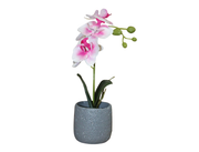Maceta Ceramica C/Orquideas 30Cm