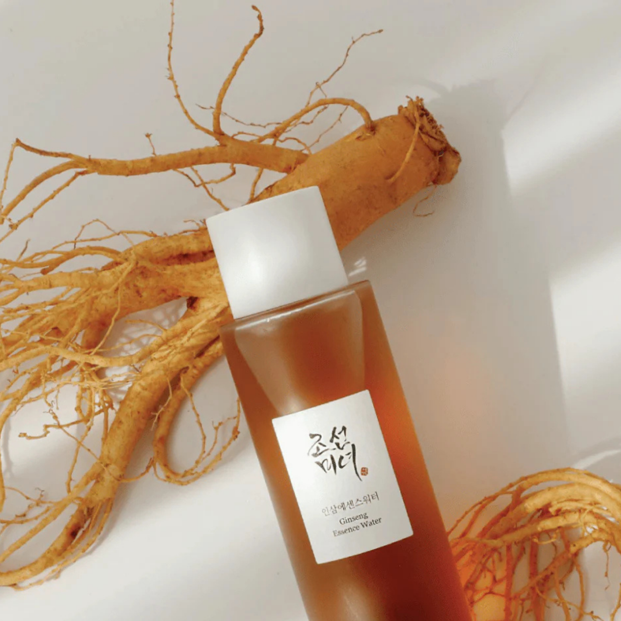 Tónico Ginseng Beauty of Joseon